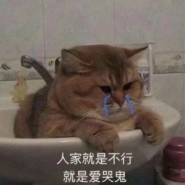 抖音五只猫摇头表情包动图