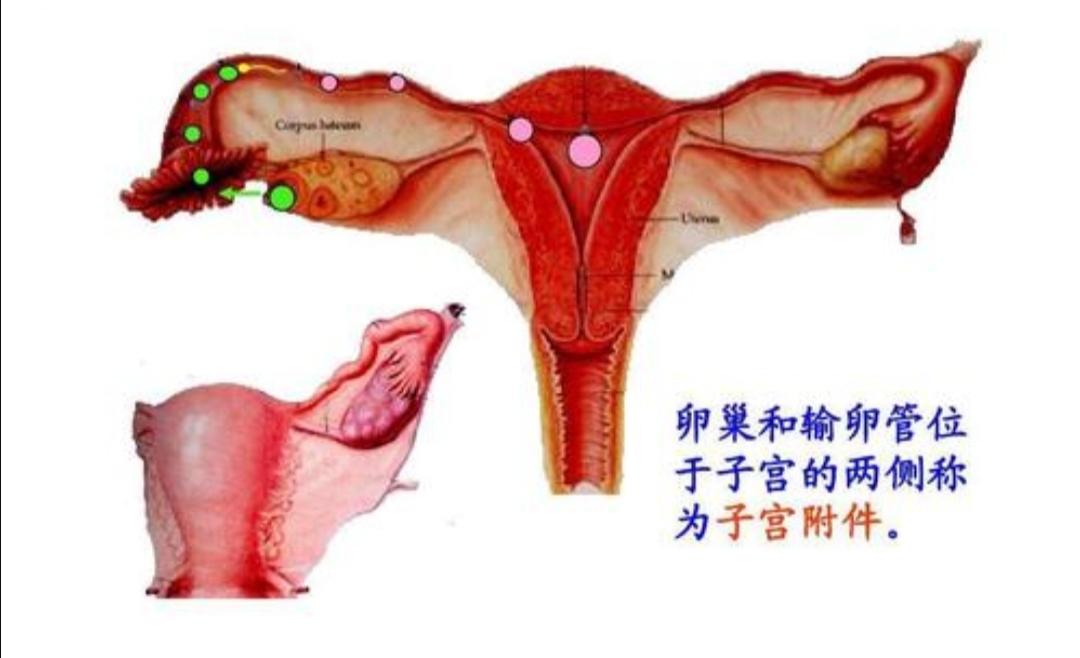 没了子宫,感觉不一样?会影响夫妻生活?医生告诉您真实的感觉
