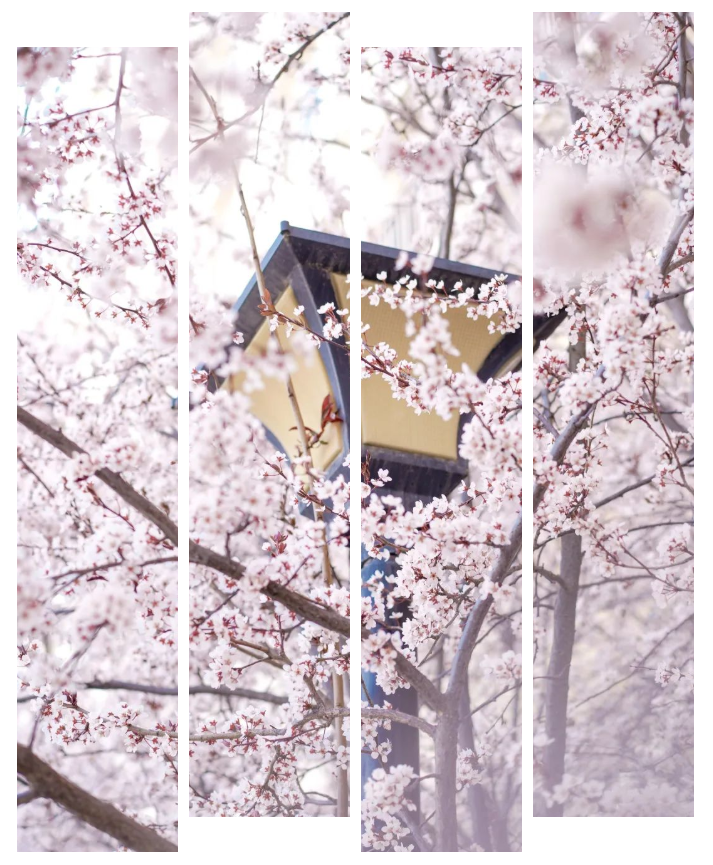 坐拥“专属地铁”，有7大美食集结地！东北这所大学“顶尖”配置太绝！