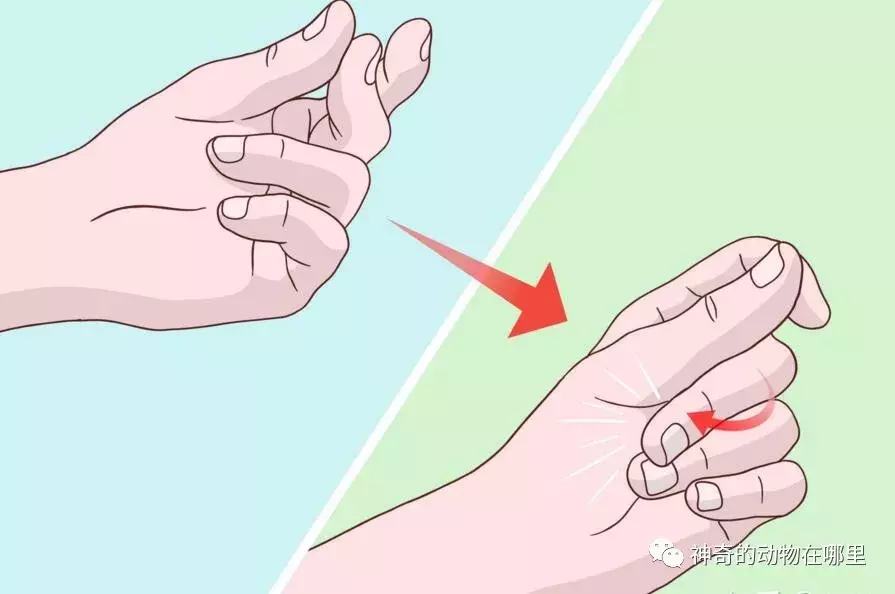 「骗了你很久的伪常识」——教你打响指（简单易懂，包教包会）