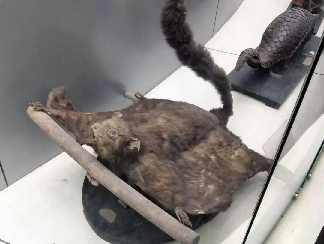 曝光！这些关于南京师范大学的