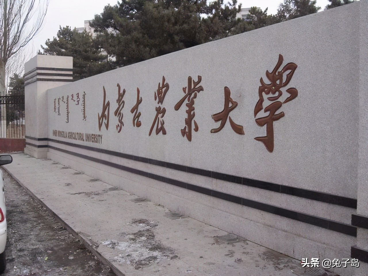 最新2022年内蒙古自治区大学排名出炉：内蒙古大学继续领跑