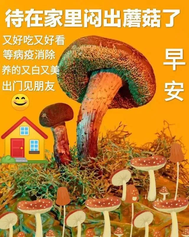 清晨到，对着镜子照，照一照，笑一笑，所有烦恼都跑掉，早安