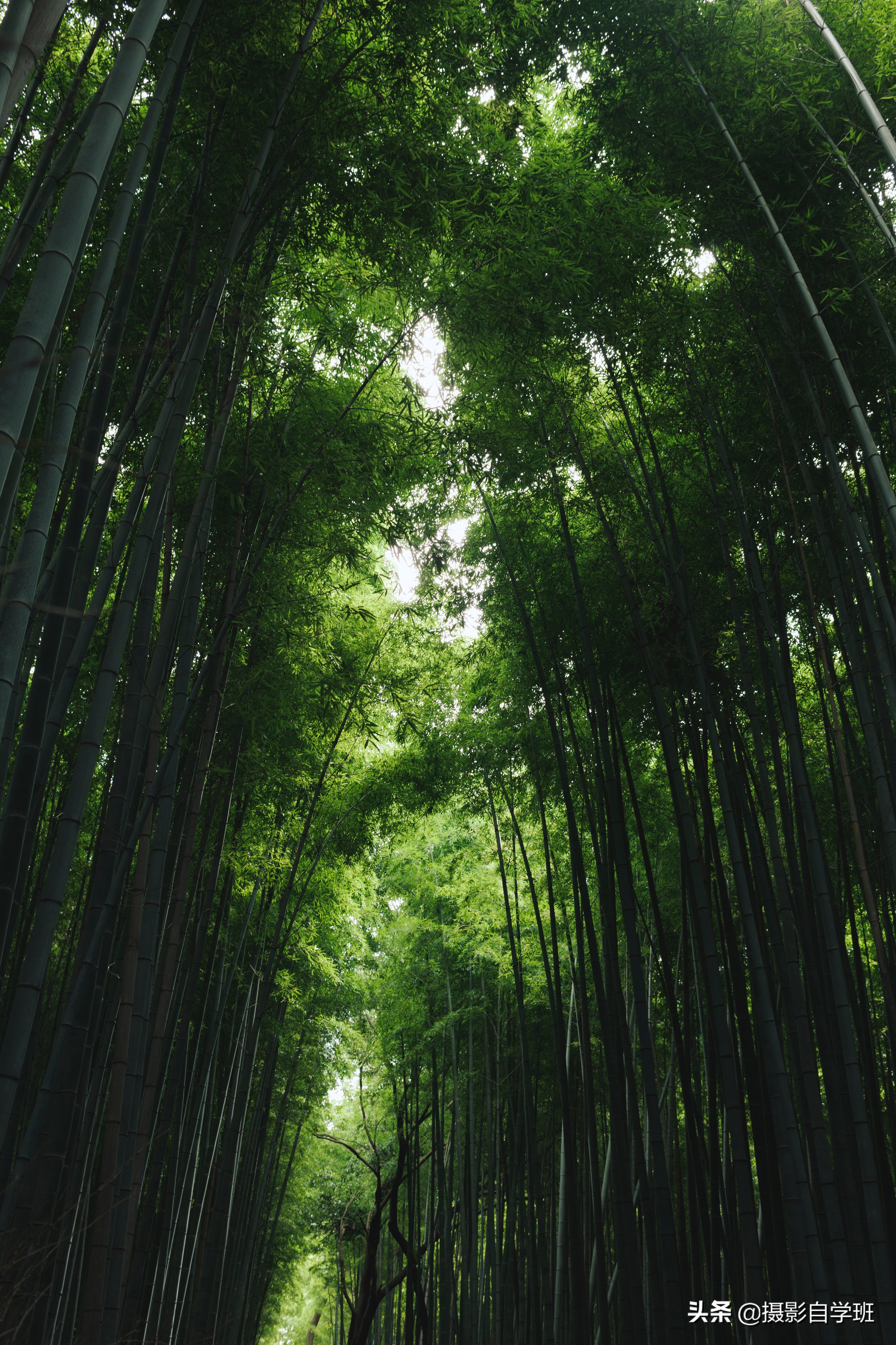 拍风景的10个好用摄影技巧，不再浪费美景，帮你轻松拍出大片
