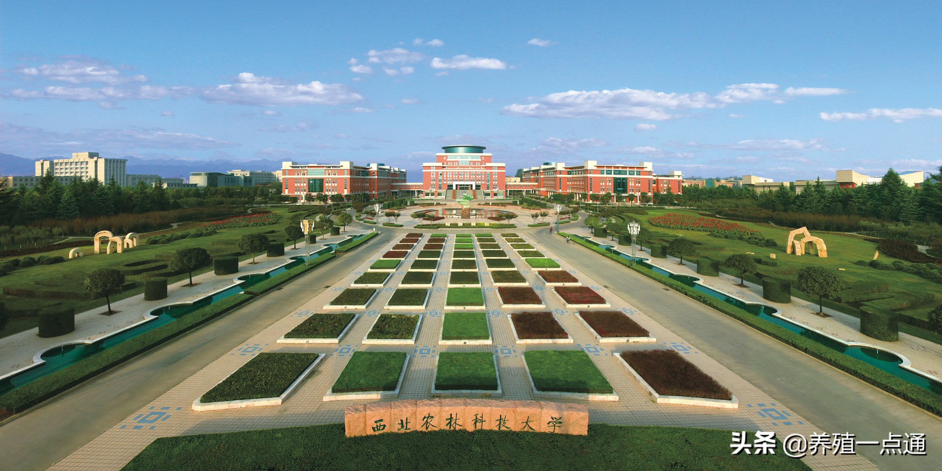 曾文先，西北农林科技大学，博导，教授，基因编辑专家