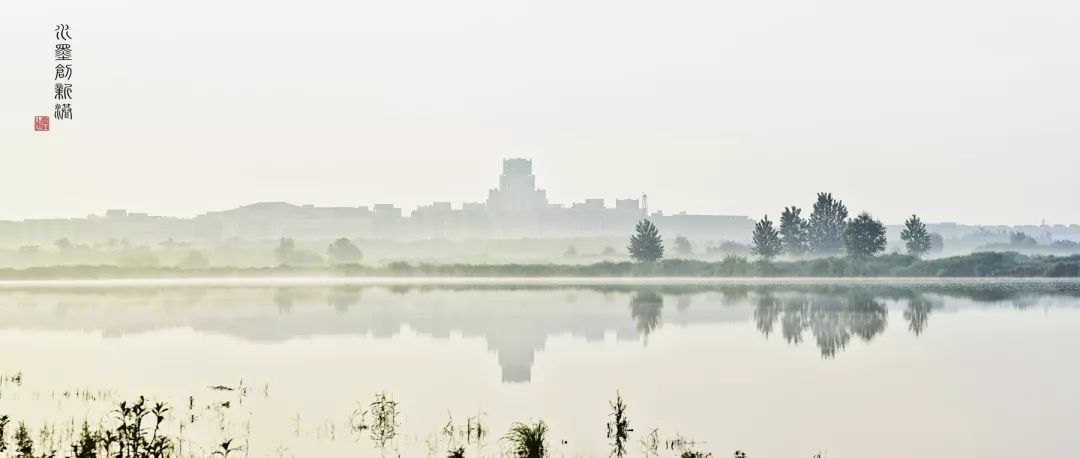 等你在交大！西安交通大学2020年博士研究生章程公布！
