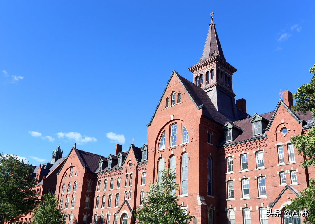 美国最自由的公立大学