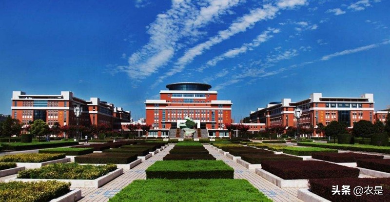 王小龙，教授，博导，西北农林科技大学，羊业专家