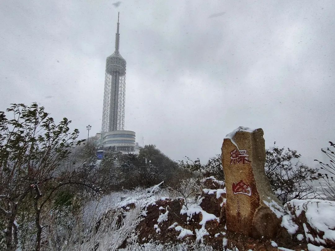 秋与冬的相遇，大连下雪了