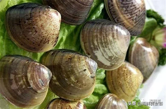 市场常见的102种海鲜，肉质鲜美，营养丰富，你们吃过几种？