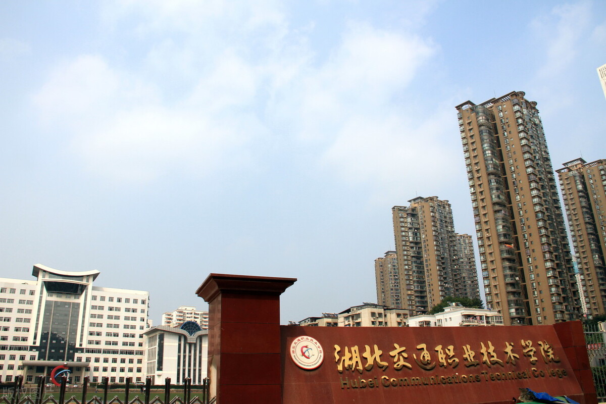 湖北大学职业技术学院（这4所来自中部地区的专科学校）