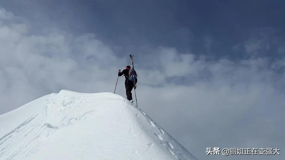 涨粉太难了？第22天微头条小爆，直接涨粉破100，分享3点心得