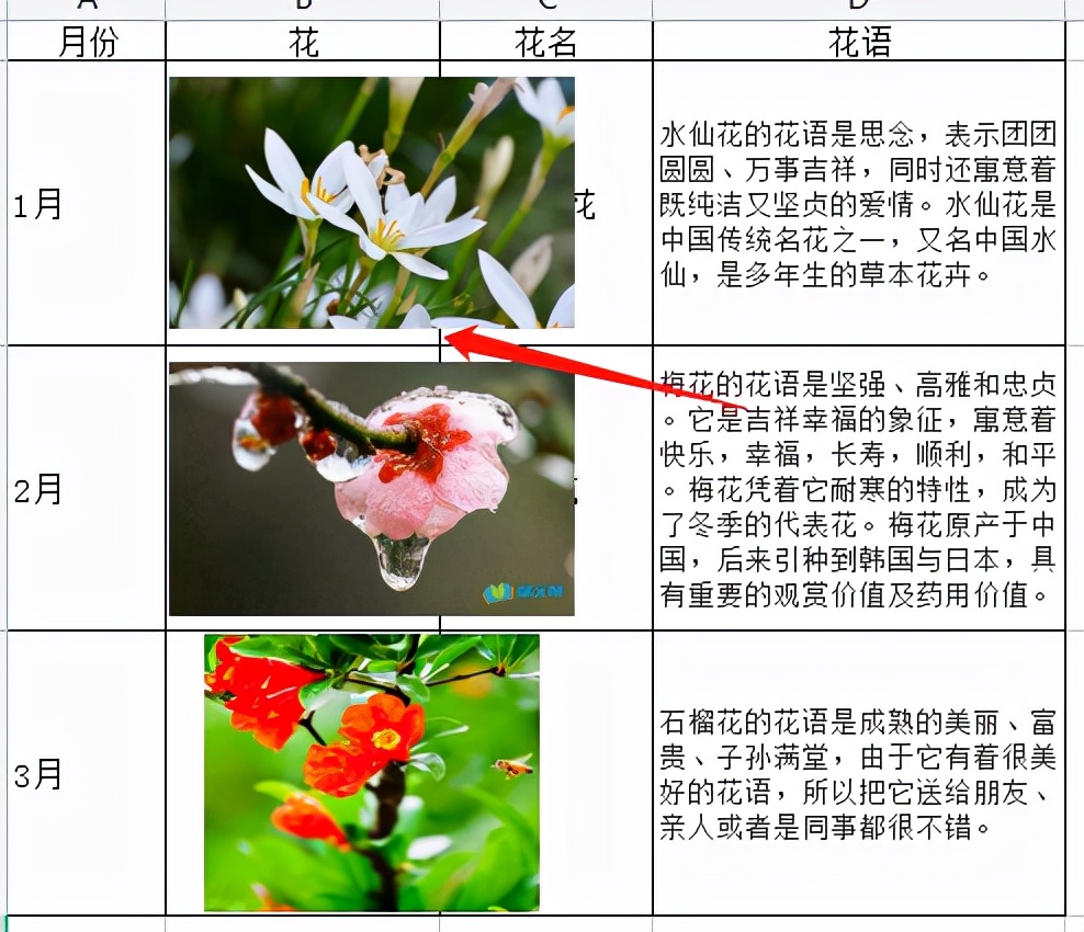 在WPS表格中通过查找信息1秒显示图片方法