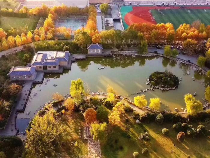 西安美术学院录取2021年录取分数线公布，希望你是其中的一位