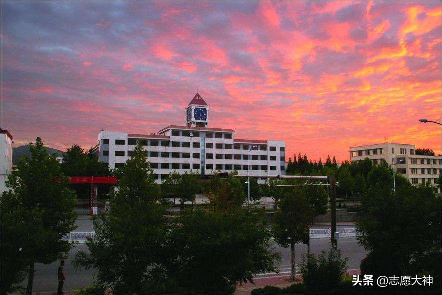 2020考生不得不收藏的鲁东大学公费师范生数据（附各地市分数线）