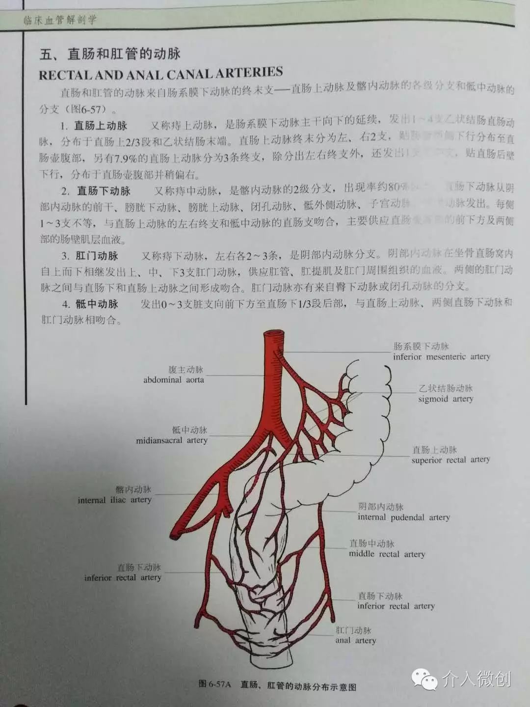 介入微创治痔疮——有“痔”之士好福气
