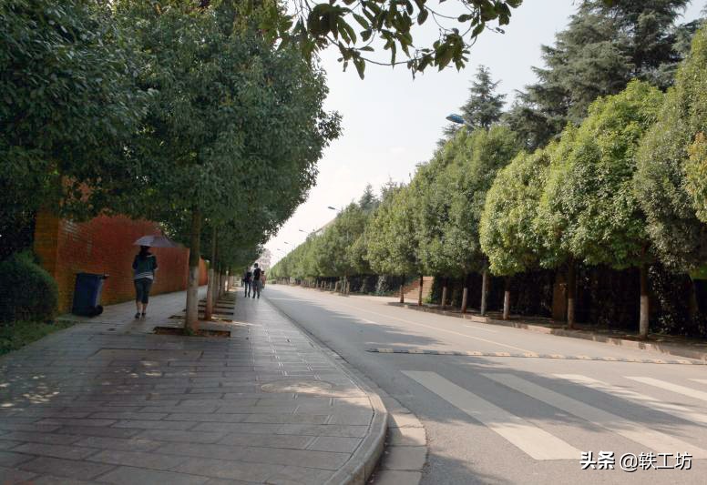 这3所“非双”更名后上了档次，很像“双一流”，其实都是二本