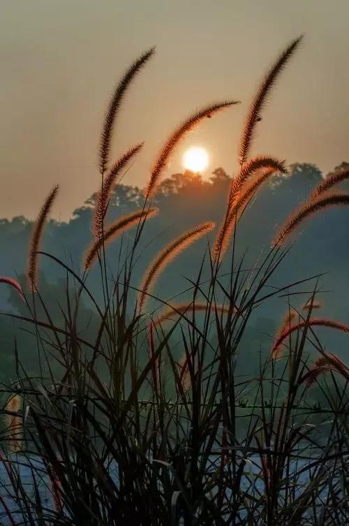 竹怜新雨后，山爱夕阳时。古诗中的那一抹秋阳斜照，让人怦然心动