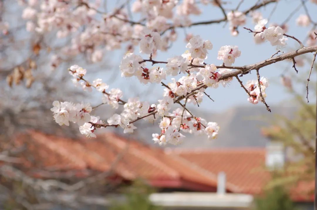 多少分，可以上兰州大学？