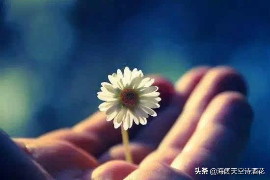连尊重都没学会，也好意思说你追星吗？