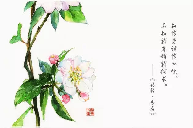 古代诗篇灿若星河，文化沃土孕育千年智慧