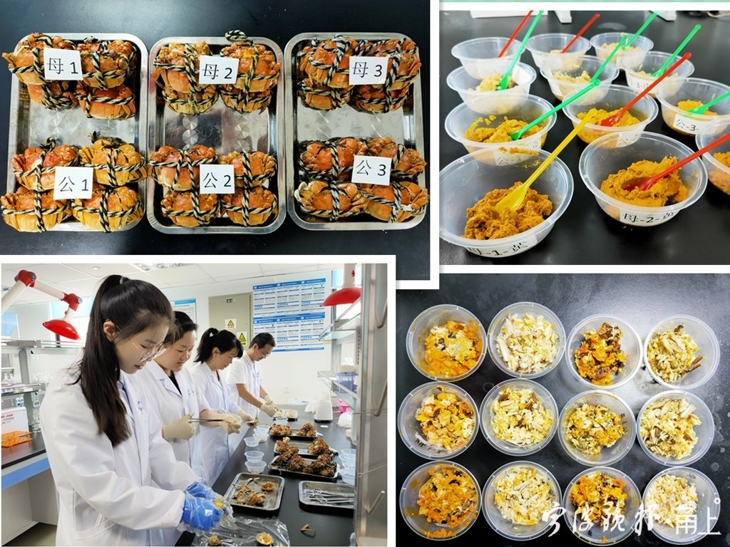 大闸蟹和水果同食会中毒？蟹黄重金属含量高？这个实验告诉你真相