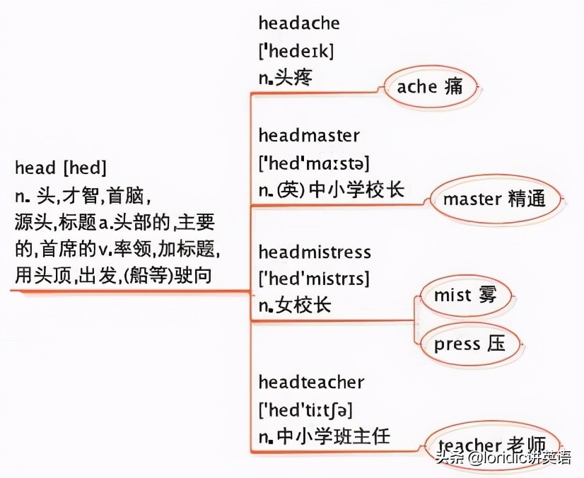 记单词如吃烤串，一串串吃才香