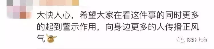 地铁鸡爪女,地铁鸡爪女事件评价