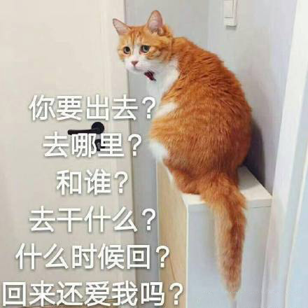 猫咪表情包合集｜我没事，我很快乐