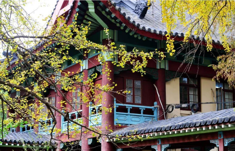 国内那些风景如画的大学，上学好似“度假”，书香与美景并存