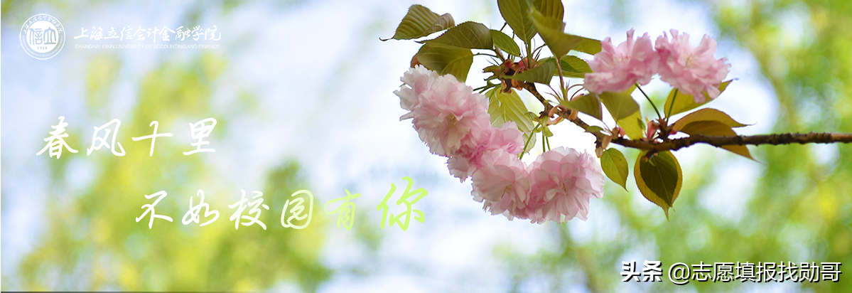 上海立信会计学院2019年录取数据分析，为何外省高分，本地垫底？