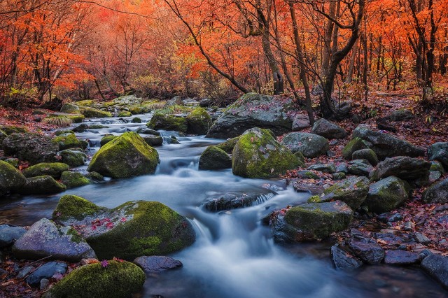 每日一词《桂枝香》赏析