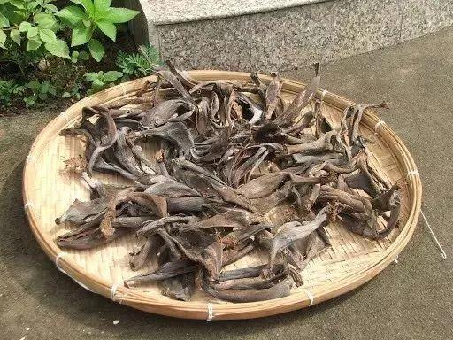 家庭有機肥發(fā)酵方法,家庭自制有機肥發(fā)酵方法大全