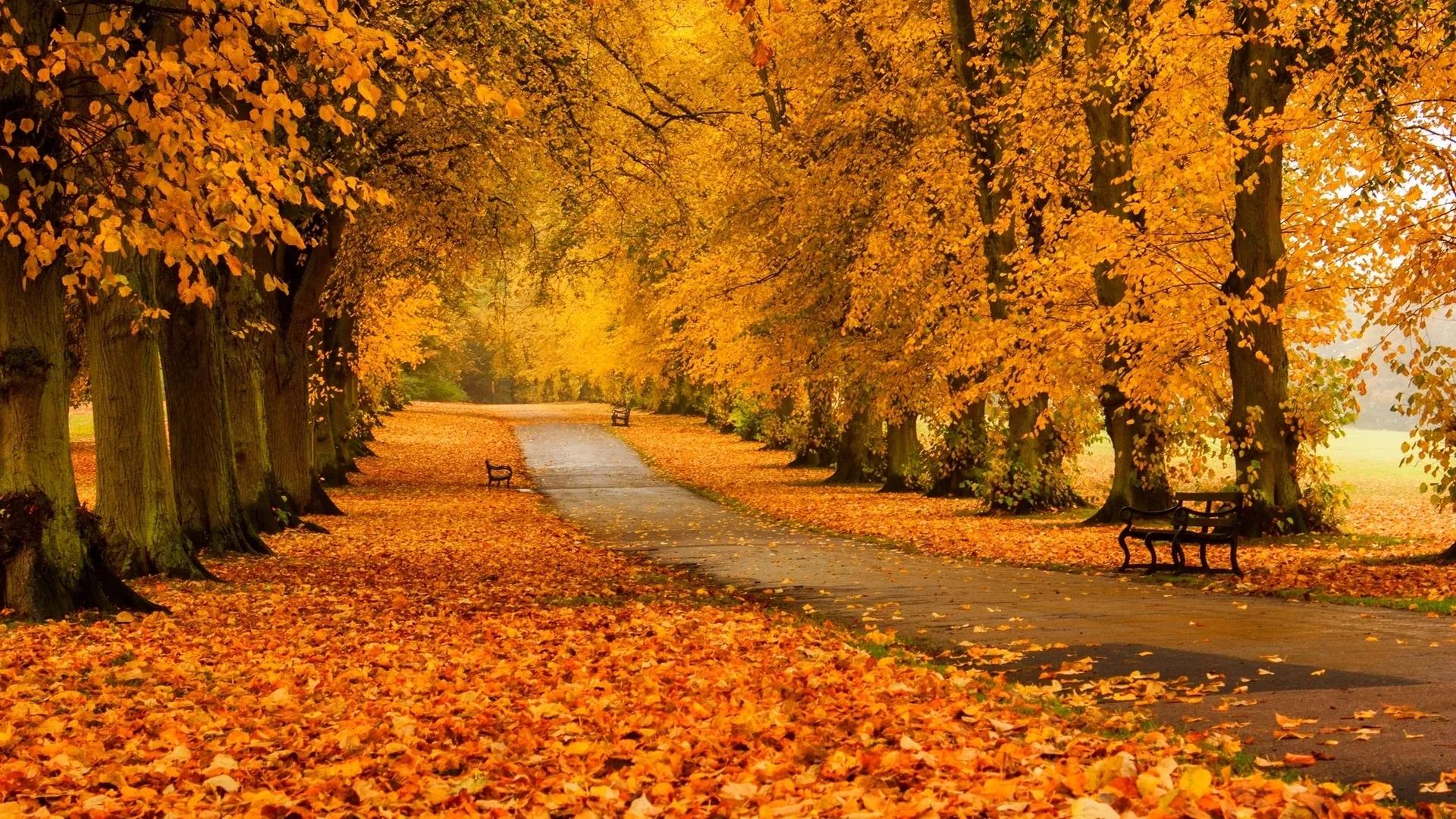 让我们在古诗词里，感受秋的温婉与静美，明净与深邃
