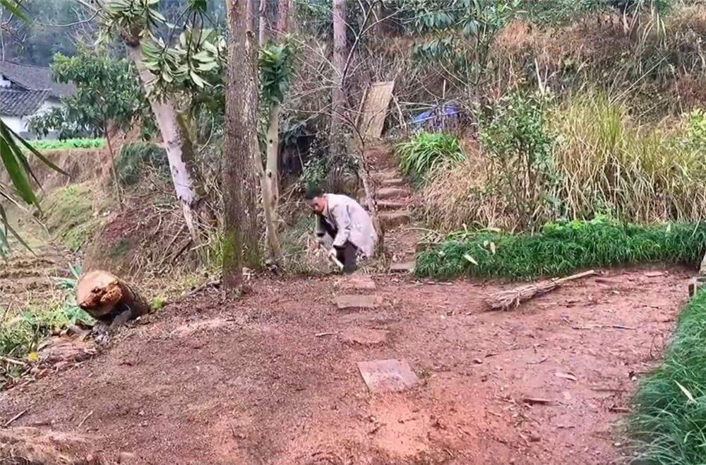 他改造荒废23年的农村小院，将废旧院子变成世外桃园，网友：向往