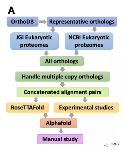 AlphaFold和RoseTTAFold双剑合璧,北大校友领衔登上Science