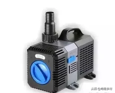 院子里应该有个小池塘，没有就自己动手挖个！（附实际操作图）