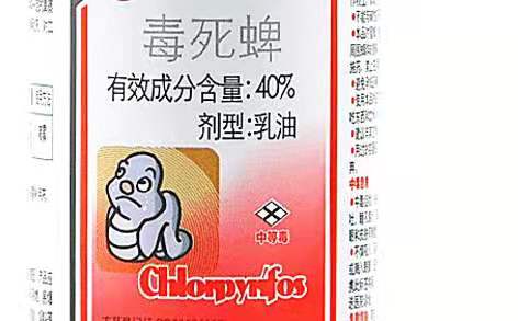 毒死蜱农药残留多少天（毒死蜱农药的作用和注意事项）