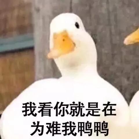 表情包：我看你就是在为难我鸭鸭