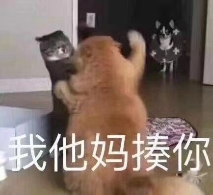 猫咪威胁表情包｜你说完了没有