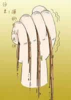 2020年高考湖南省衡阳市语文试题及答案