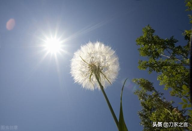 城府深的人，往往不显山露水，藏得很深，还会装糊涂