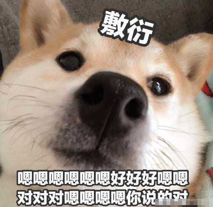 柴犬贱贱表情包18张