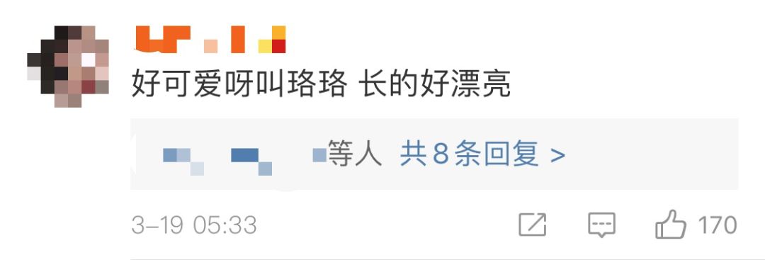 高校各种“神兽”出没，你的大学有什么？