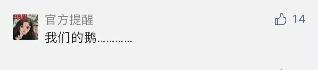 痛心！大理大学12只网红黑天鹅被烈犬咬死！包括6只丑小鸭！狗主人赔4万元