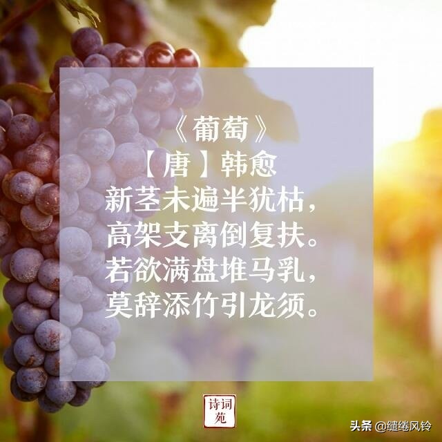 (唐)韩愈③《葡萄》不知细叶谁裁出,二月春风似剪刀.