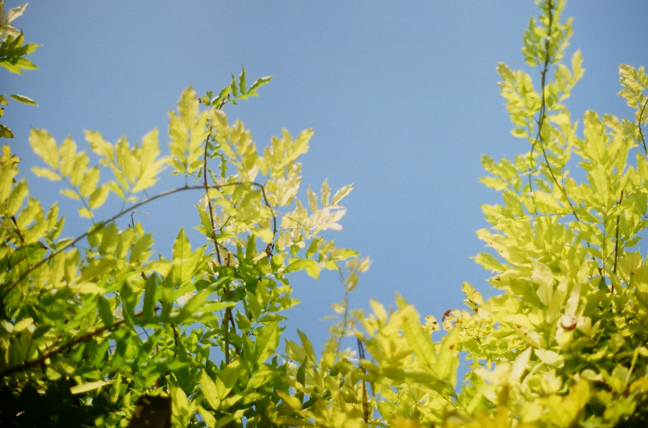 出门也赋喜晴诗,十二首喜晴的诗词,大雨转晴,你我安好