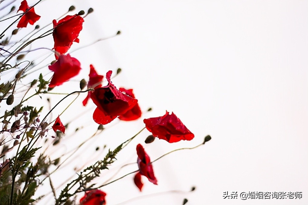 婚姻：出轨后，你能得到的最好的帮助，就是帮你慢下来