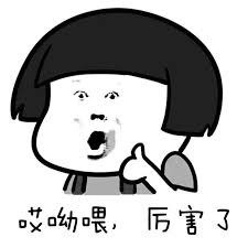 究竟谁才是名副其实的国货之光？