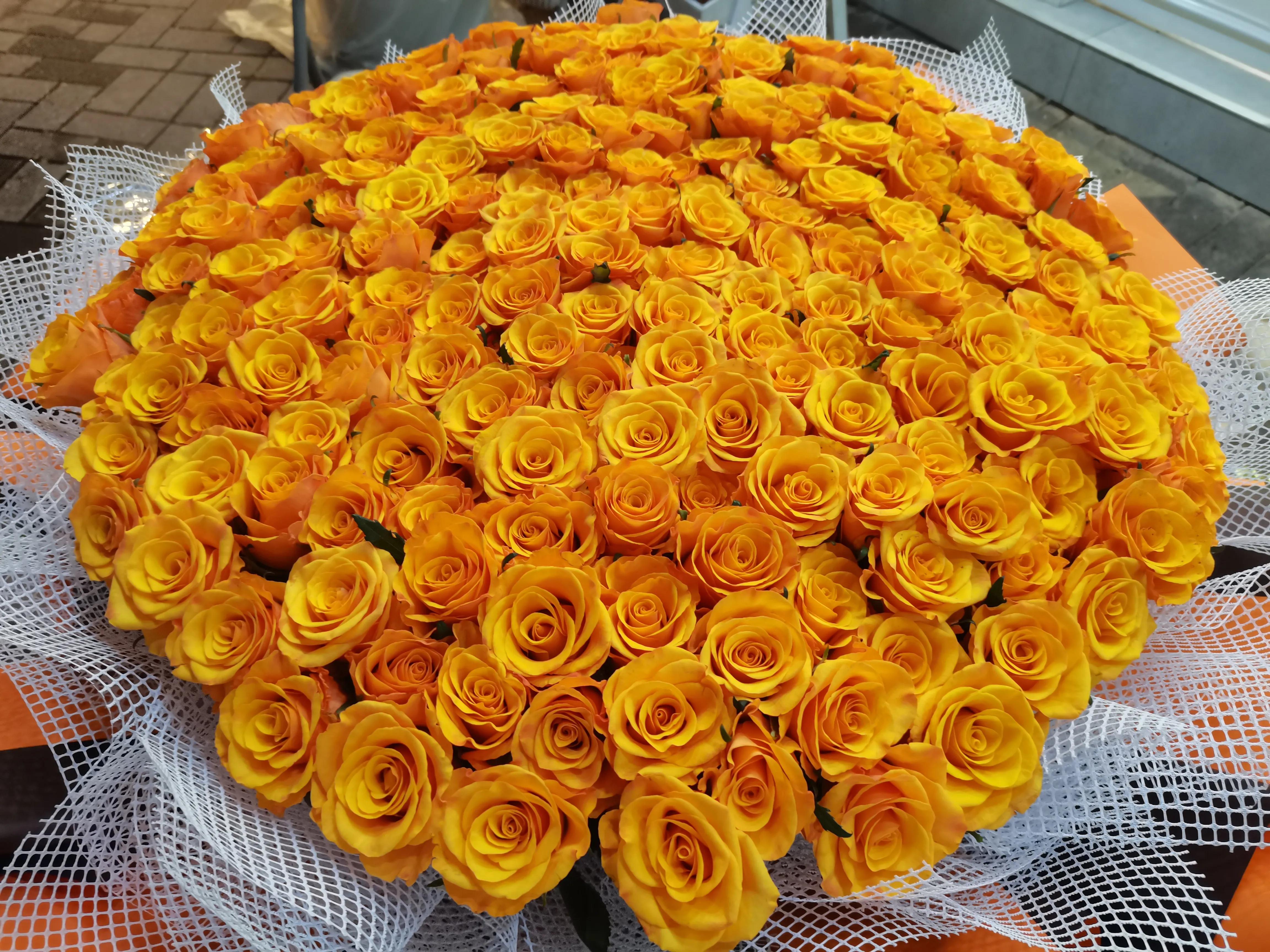 黄玫瑰花语是什么意思寓意(黄玫瑰的花语是什么意思玫瑰花图片)